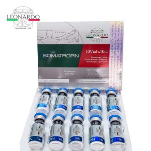 Somatropin HGH 100IU KIT 10x 10IU – Leonardo